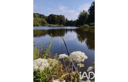 DONTREIX, Nouvelle-Aquitaine 23700