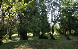 Bélaye, Midi-Pyrénées 46140