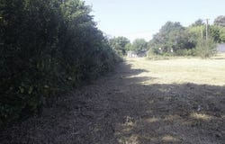 NACHAMPS, Poitou-Charentes 17380