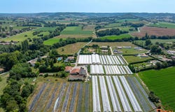 Dausse, Aquitaine 47140
