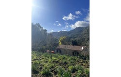 Forciolo, Corsica 20190