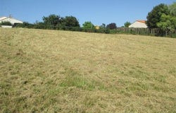 La Meilleraie-Tillay, Pays de la Loire 85700