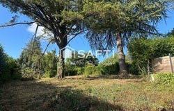 Niort, Poitou-Charentes 79000