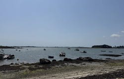 Séné, Morbihan 56860