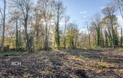 Montfort-l'Amaury, Yvelines 78490