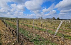 Ordonnac, Aquitaine 33340