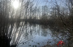 Choiseul, Grand Est 52240