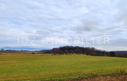 Wentzwiller, Grand Est 68220