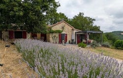 Belaye, Midi-Pyrénées 46140