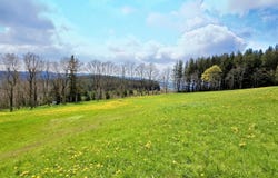 Saint-Étienne, Auvergne-Rhône-Alpes 42000