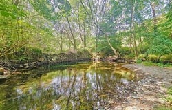 Saint-Pons-De-Thomières, Languedoc-Roussillon 34220