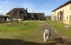 Perrecy-les-Forges, Burgundy 71420