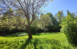 Pouillon, Aquitaine 40350