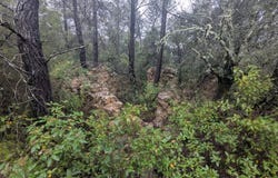 Cotignac, Var 83570