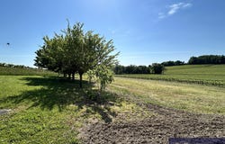 Arthenac, Poitou-Charentes 17520