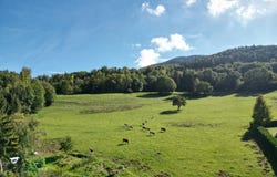 Annecy, Rhône-Alpes 74000
