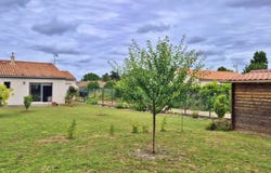 Mornac-sur-Seudre, Nouvelle-Aquitaine 17113