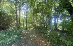 Châteauneuf-la-Forêt, Limousin 87130