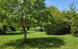 Leigne-Les-Bois, Poitou-Charentes 86450