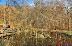 Belmont, Bourgogne-Franche-Comté 70270