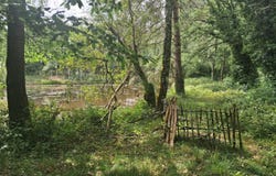 RILHAC LASTOURS, Nouvelle-Aquitaine 87800