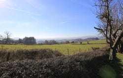 Brion, Burgundy 71190