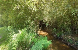 Pouillon, Landes 40350