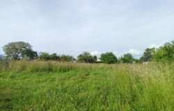 Vains, Normandy 50300