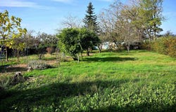 Curdin, Burgundy 71130