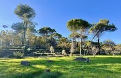 Fayence, Provence-Alpes-Côte d'Azur 83440