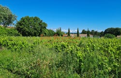 Anduze, Languedoc-Roussillon 30140