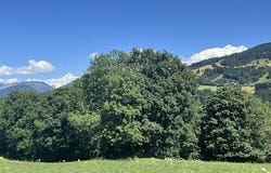 Demi-Quartier, Auvergne-Rhône-Alpes 74120