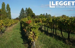 Sainte-Gemme, Nouvelle-Aquitaine 33580