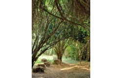 Feytiat, Haute-Vienne 87220