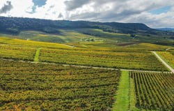 Château-Chalon, Franche-Comté 39210