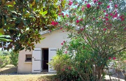 Lanton, Gironde 33138