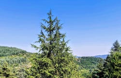 AULAS, Occitanie 30120