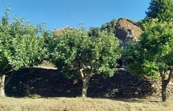 Saint-Martin-de-Boubaux, Languedoc-Roussillon 48160