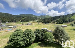 Laveissière, Auvergne-Rhône-Alpes 15300