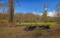 ESTOUY, Centre 45300
