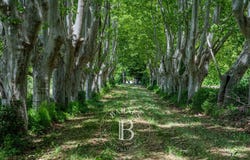 Lourmarin, Provence-Alpes-Côte-d'Azur 84160