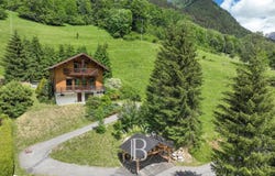 Morzine (Avoriaz), Rhône-Alpes 74110