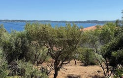 Sainte-Maxime, Provence-Alpes-Côte d'Azur 83120