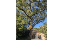 Angoulême, Poitou-Charentes 16000