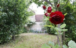 TANLAY, Bourgogne 89430