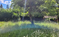 Anet, Eure-et-Loir 28260