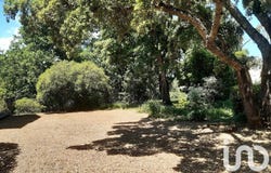 Prunelli-di-Fiumorbo, Corsica 20243