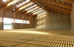Saintes, Poitou-Charentes 17100