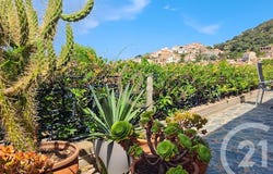 LUMIO, Corsica 20260