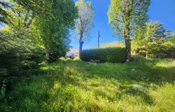 Saint-Front, Auvergne-Rhône-Alpes 43550